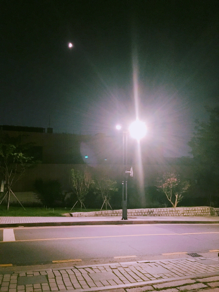 크기변환_IMG_3565.JPG