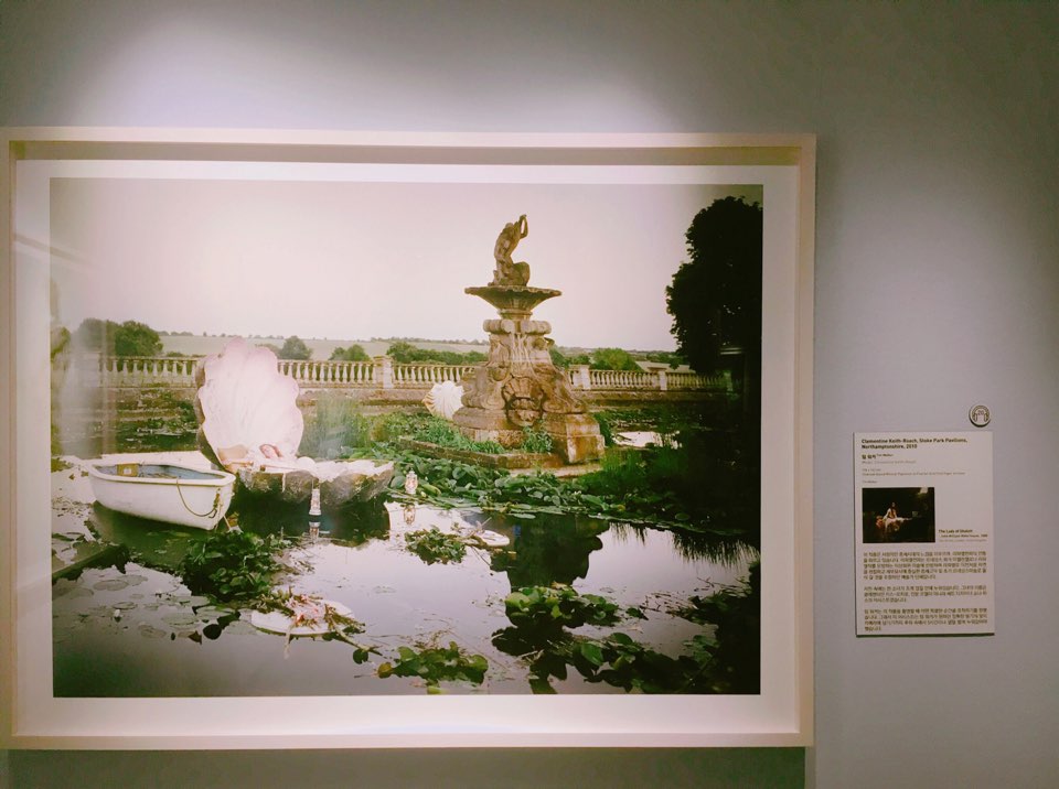 보그 The lady shalott.jpg
