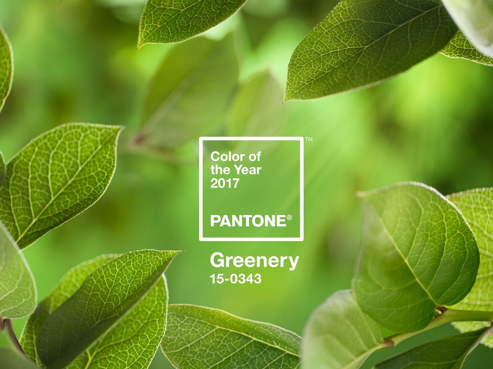 PANTONE-Color-of-the-Year-2017-Greenery-15-0343-leaves-2732x2048.jpg