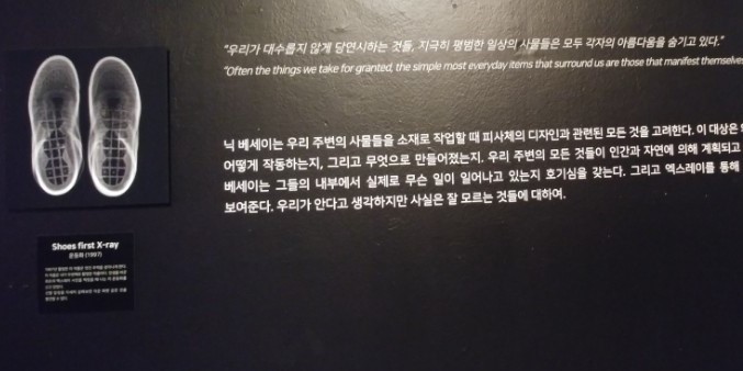 첫번째섹션설명,운동화.jpg