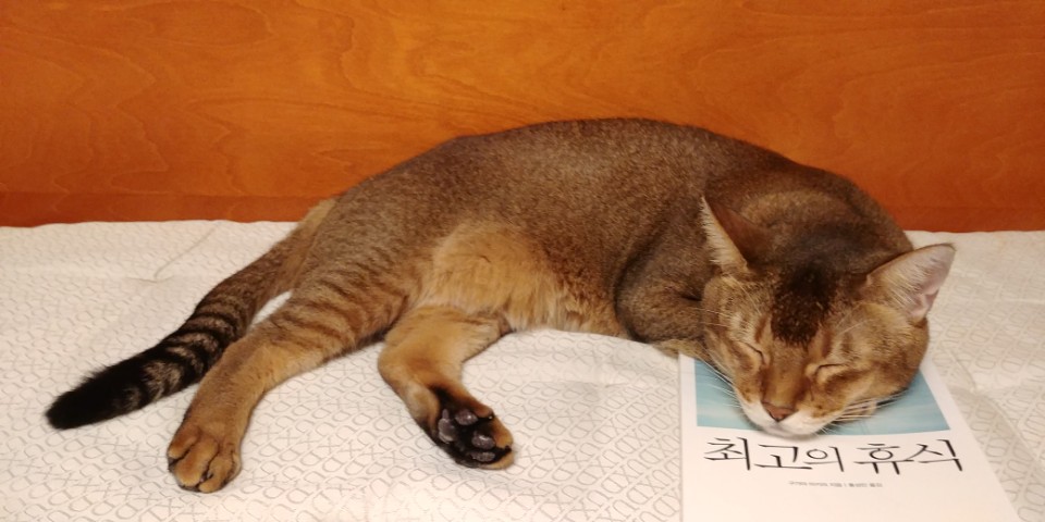 최고의 휴식 책.jpg