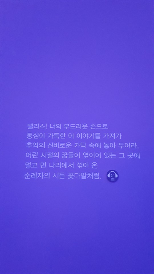 앨리스 전시회 문구.jpg