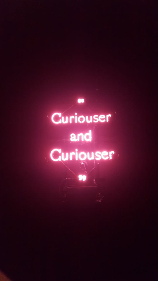 앨리스 전시회 curioser.jpg
