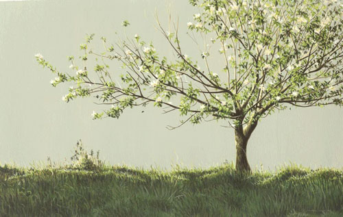 Apple-blossom.jpg