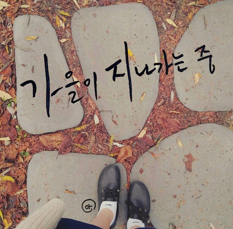 가을이 지나가는 중.jpg