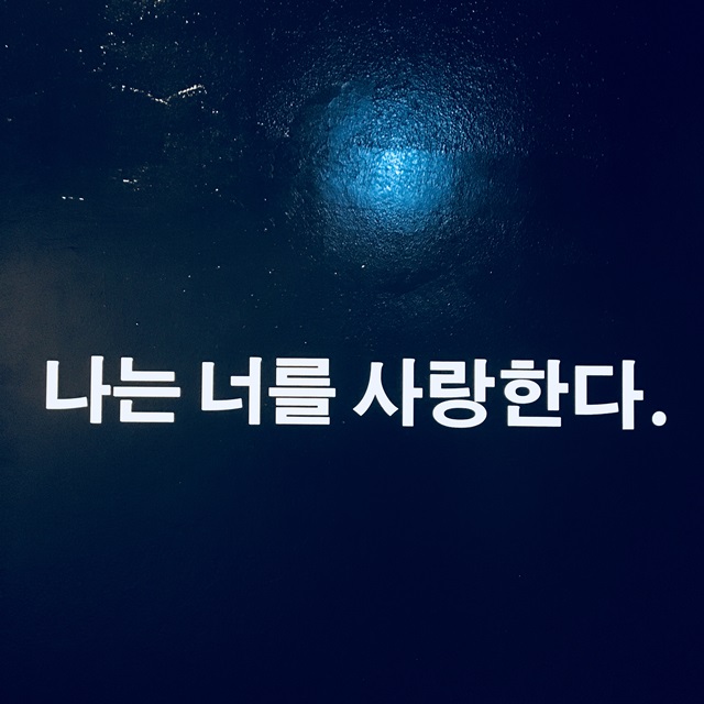 KakaoTalk_Moim_4zff6mVA8EQo4IknhGKm5QRpN5Egfv.jpg
