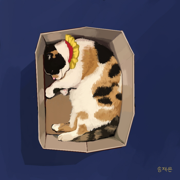 고양이 업로드.jpg