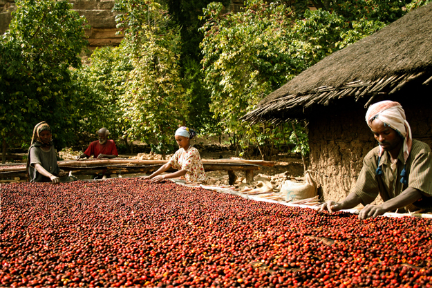 EthiopiaCoffee.jpg