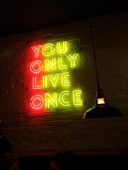 yolo-2817390_960_720.jpg