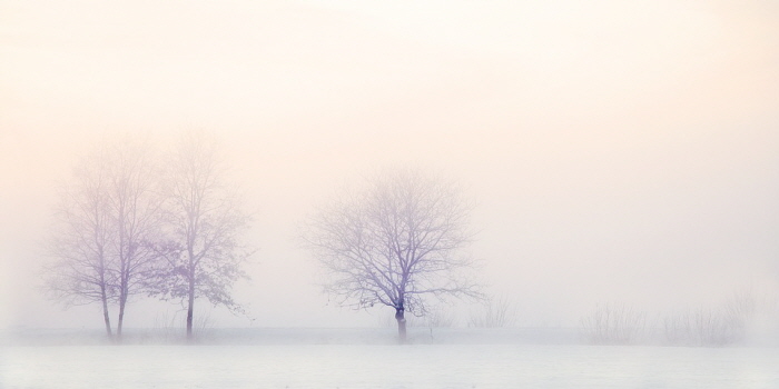 winter-landscape-2571788_960_720.jpg