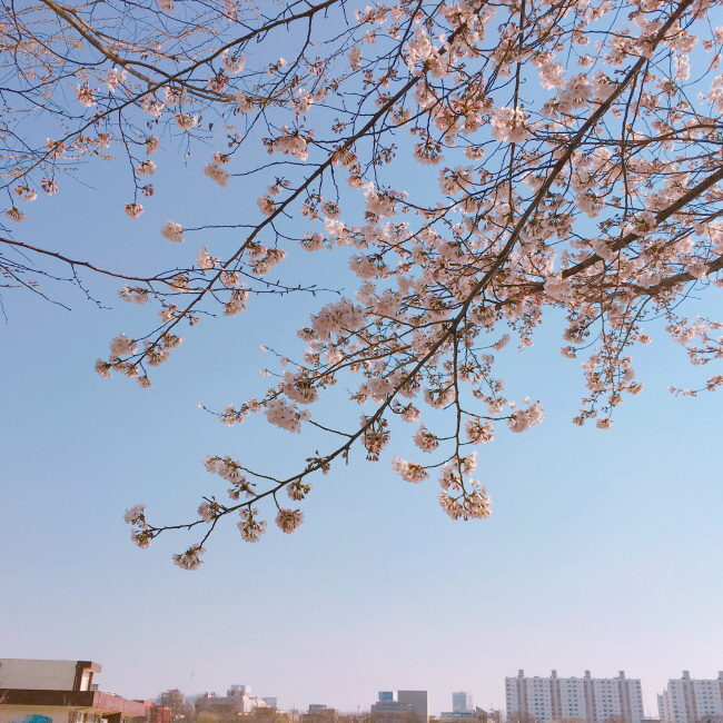 크기변환_KakaoTalk_20180121_221850211.jpg