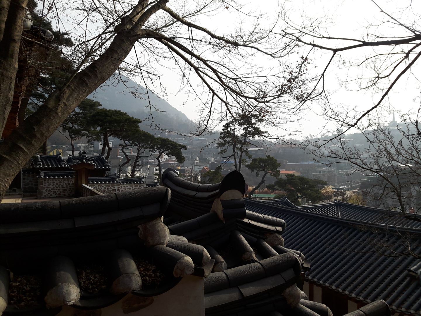 KakaoTalk_20180125_165628046.jpg