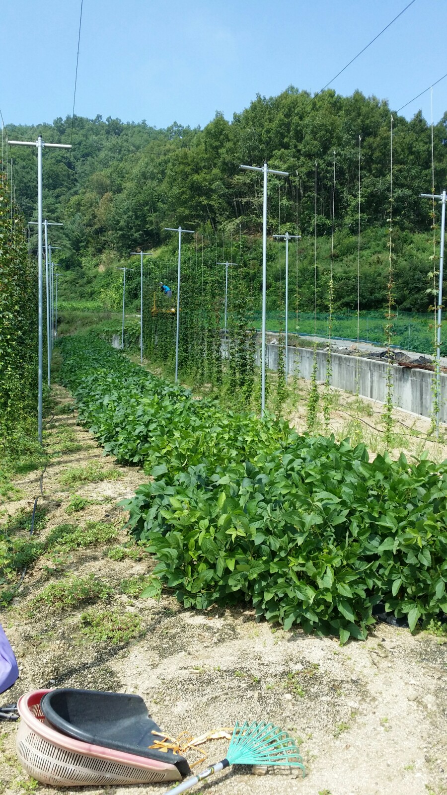 20170831_105802.jpg