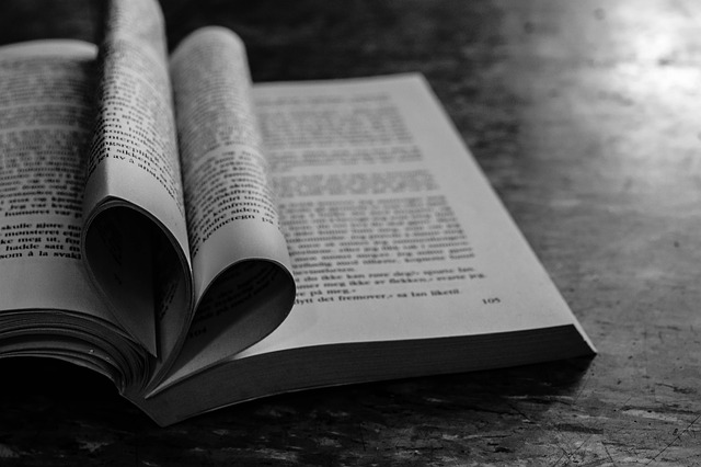reading-2614105_640.jpg