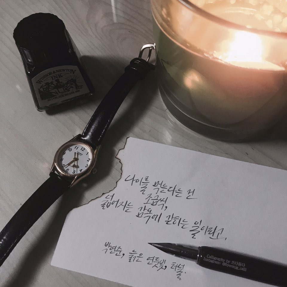 박연준, 늙은 연둣빛, 터널.jpg