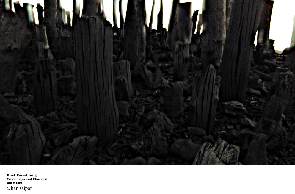 Black Forest Series.jpg