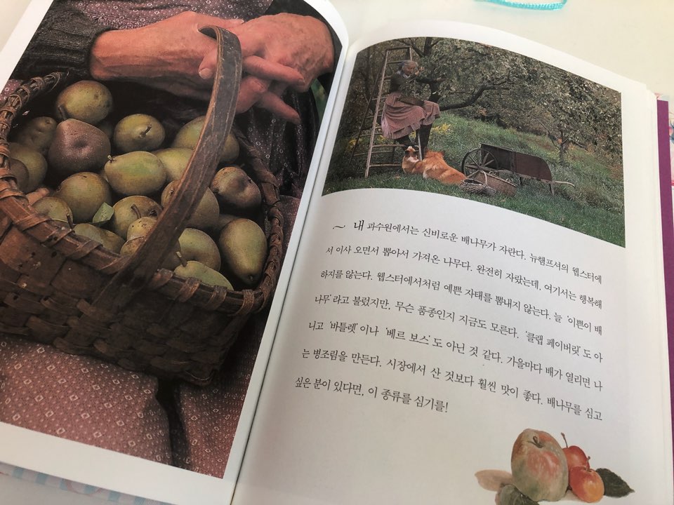 KakaoTalk_20180206_024855622.jpg
