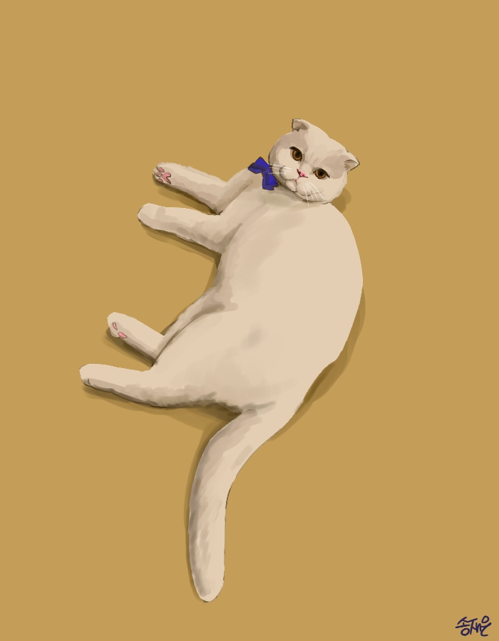 하얀 고양이 업로드.jpg