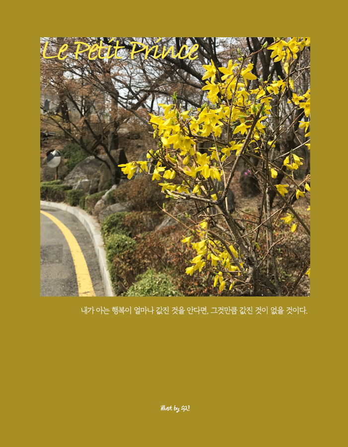 어린왕자 봄.jpg
