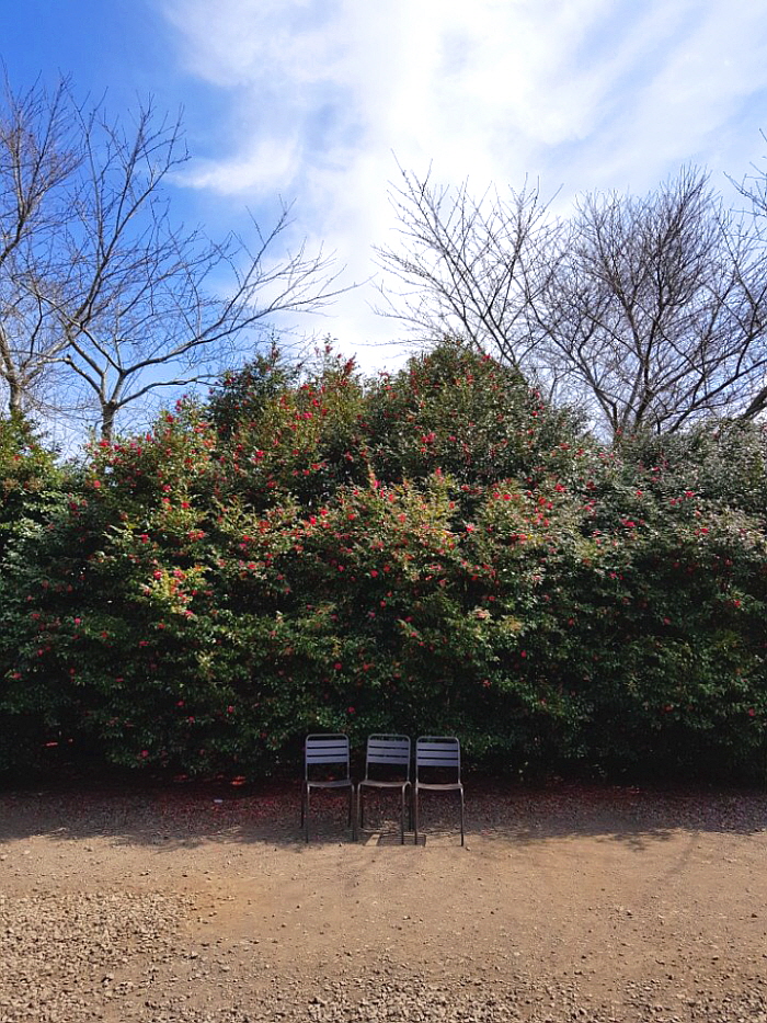 꾸미기_1521159068769.jpg