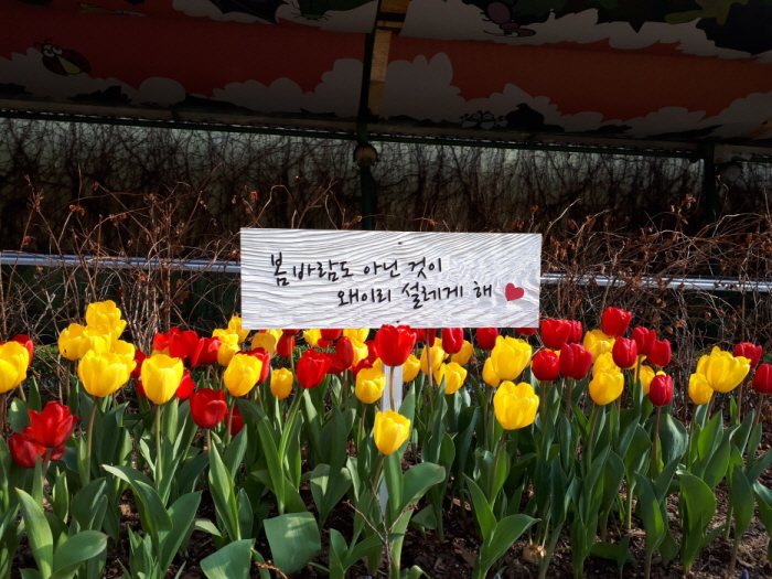 꾸미기_2018-03-23-16-04-22.jpg
