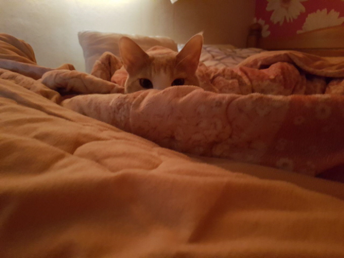 꾸미기_photo_2018-03-28_17-31-16.jpg