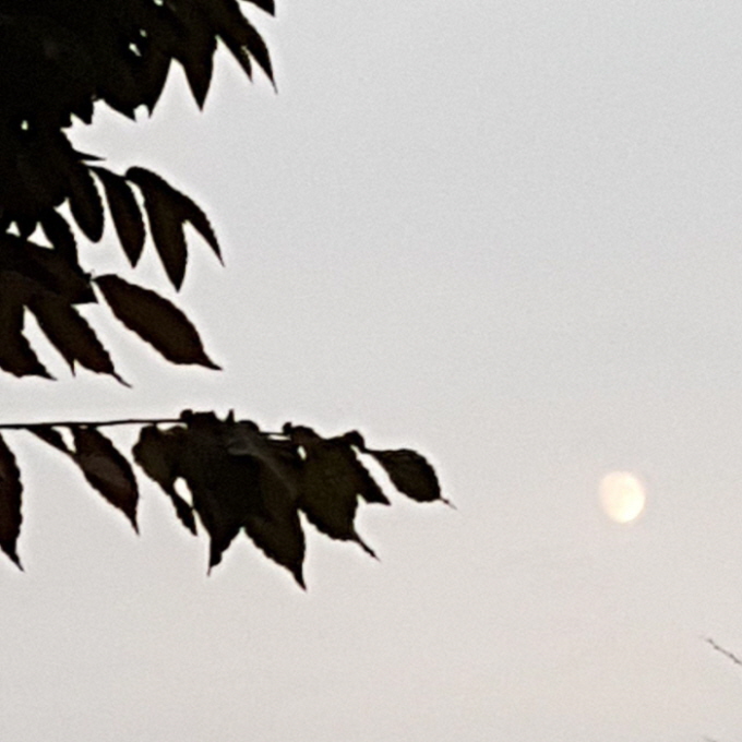 꾸미기_photo_2018-03-28_17-32-04 (2).jpg