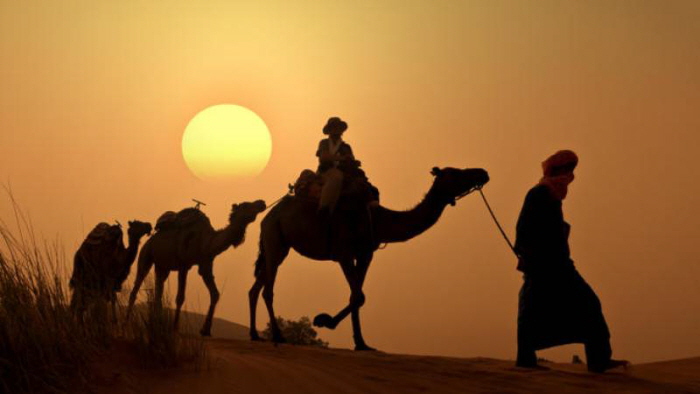 꾸미기_sunset-camel-ride-in-the-palm-grove-of-marrakech-in-marrakech-178040_crop_flip_800_450_f2f2f2_center-center.jpg