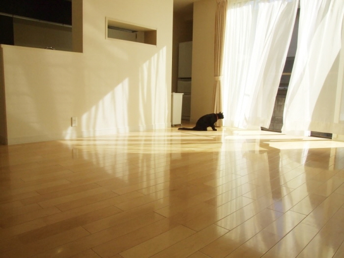 꾸미기_DSCF3370.jpg