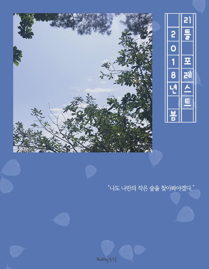 little forest.jpg