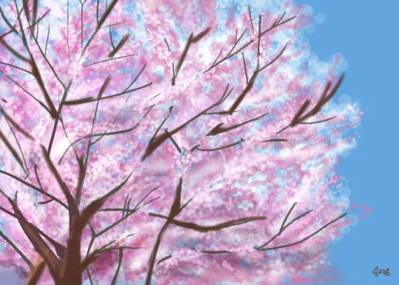업로드벚꽃.jpg