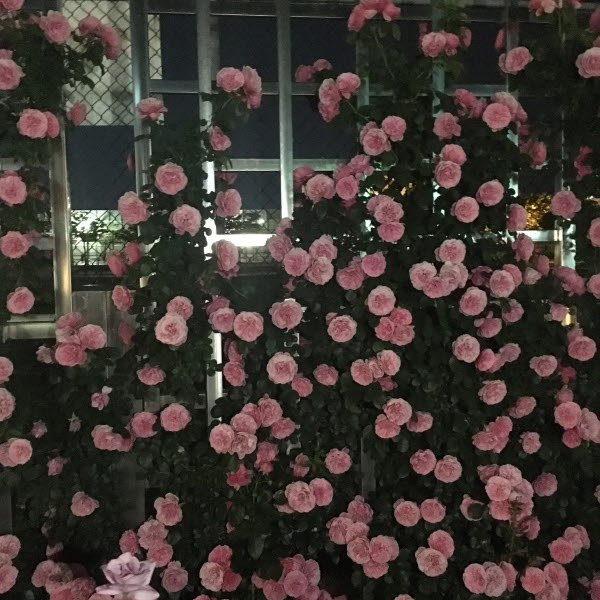 크기변환_KakaoTalk_20180403_000641375.jpg