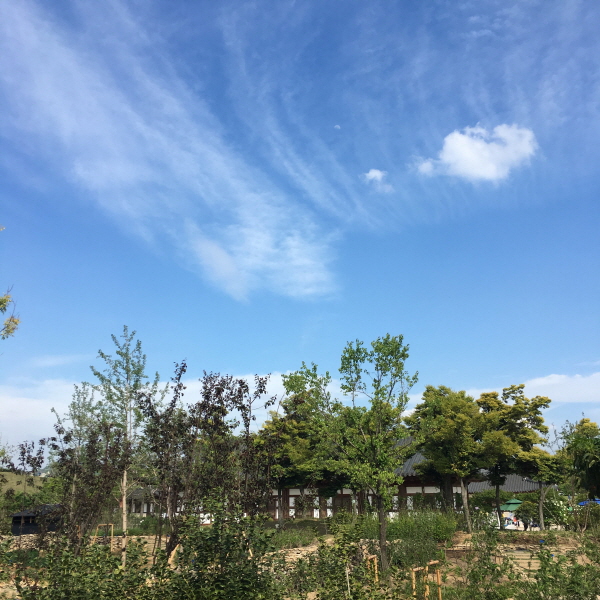 크기변환_KakaoTalk_20180403_002422706.jpg