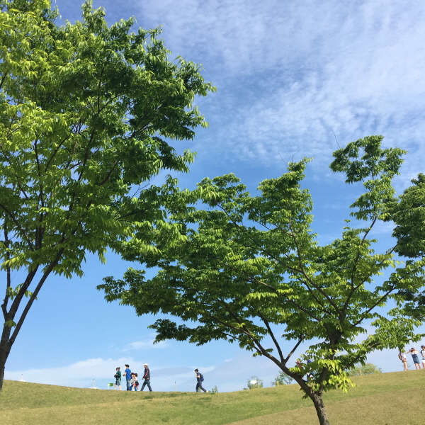 크기변환_KakaoTalk_20180403_002621597.jpg