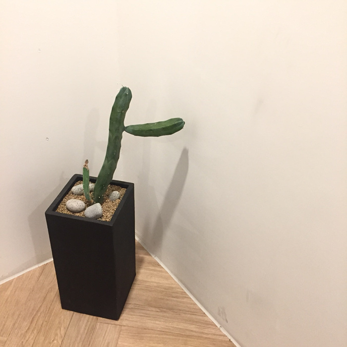 미니멀9.jpg