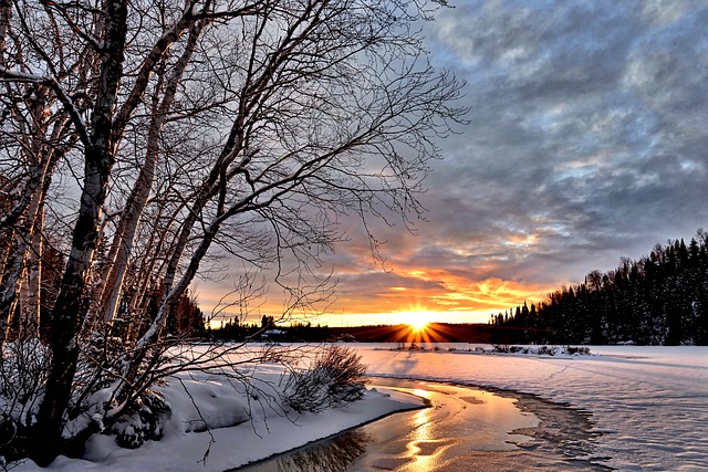winter-landscape-2995987_640.jpg