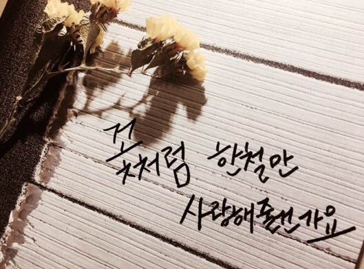 photo_0.JPG
