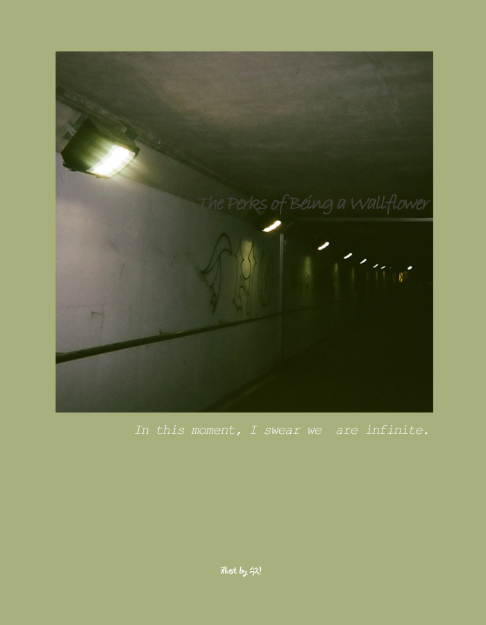 the perks fo being a wallflower.jpg