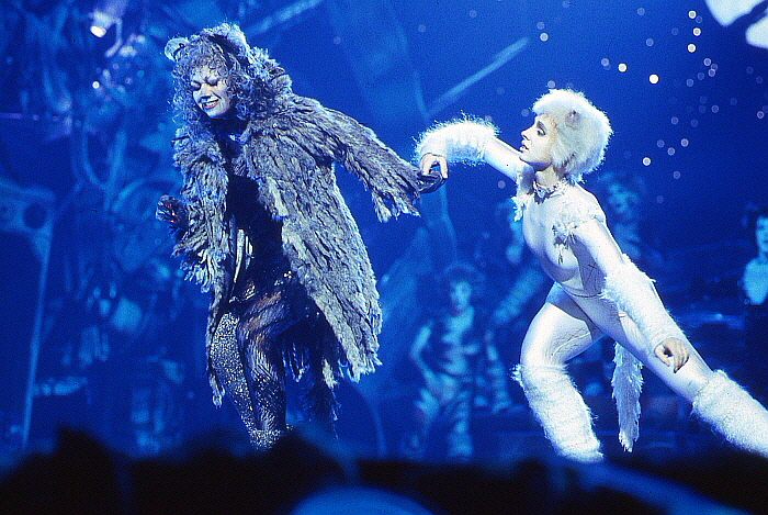 cats-film-284.jpg