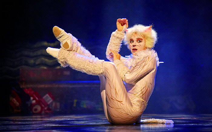 cats-2.jpg