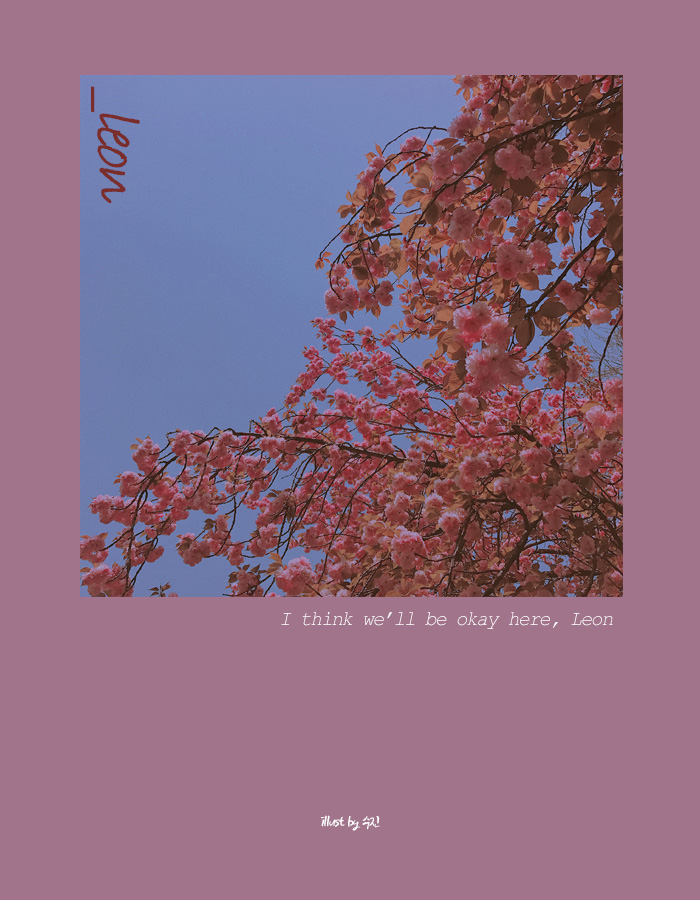 겹벚꽃.jpg