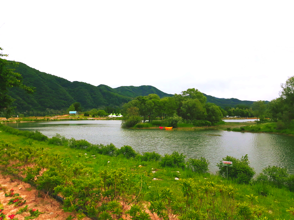 image_8447949961527433549640.jpg
