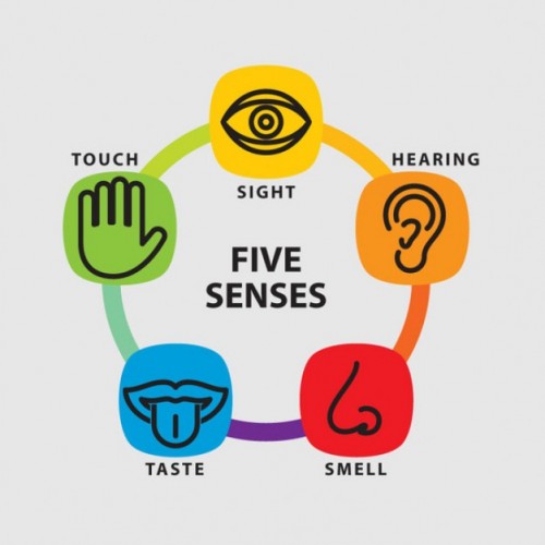 five-senses-icon-set_62147502195-500x500.jpg