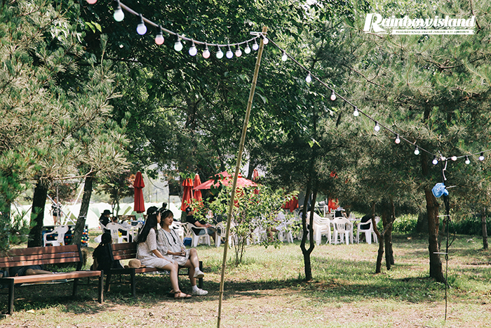 IMG_3217 copy.jpg