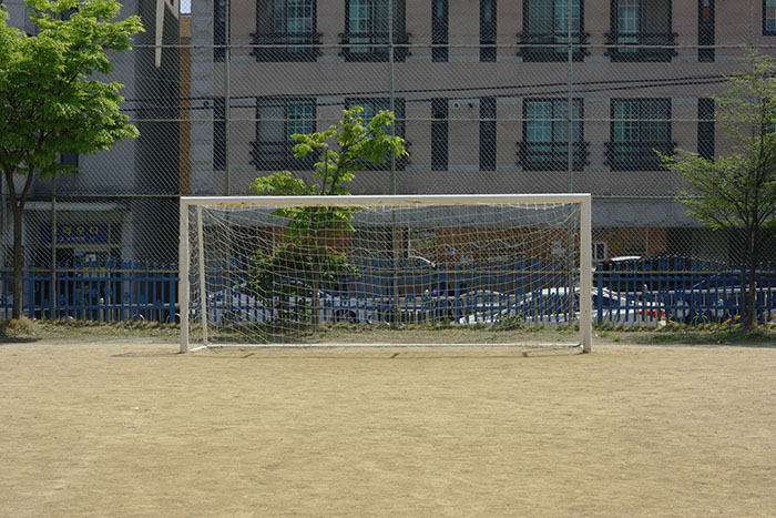 66.jpg