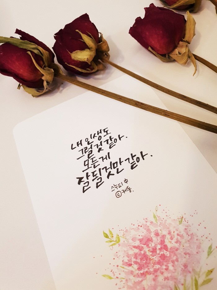 본문_KakaoTalk_20180521_011733742.jpg