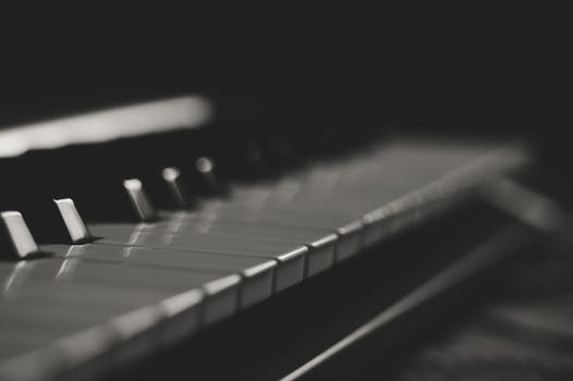 pexels-photo-734918.jpeg