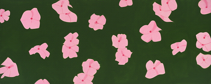 Impatiens_2001.jpg