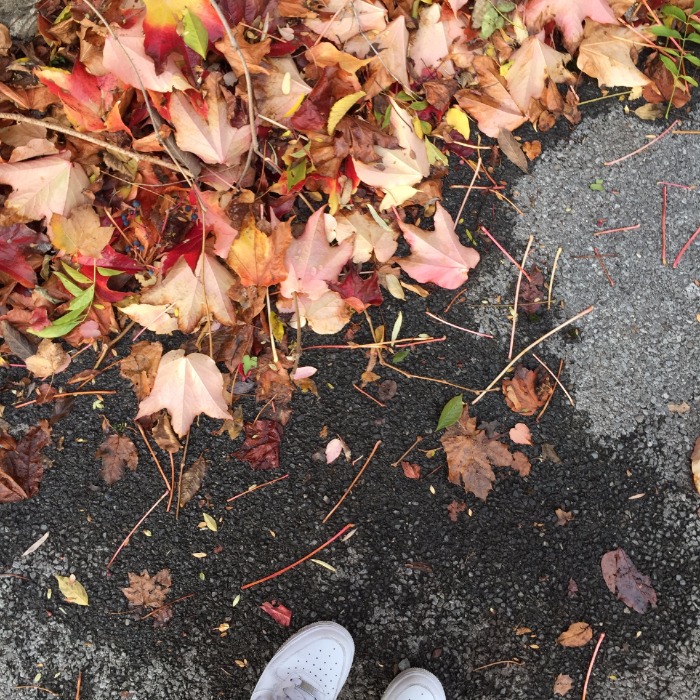 image_4735249751482464789343.jpg