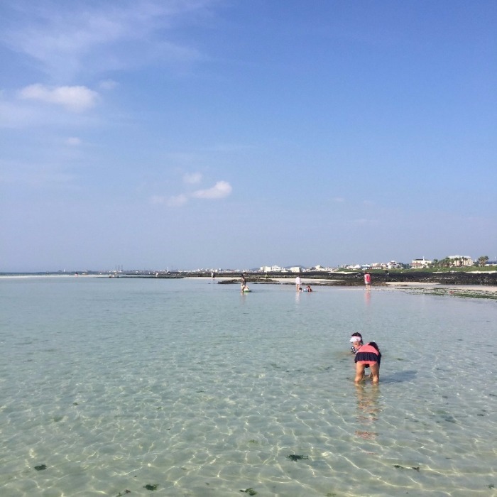 image_6491255881469339551322.jpg
